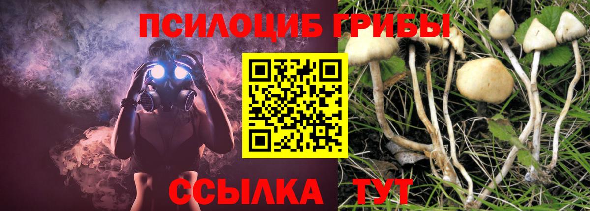 Галлюциногенные грибы прущие грибы Люберцы